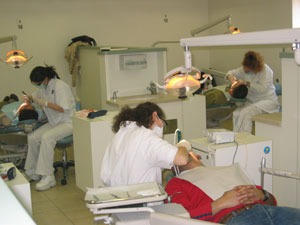 שיננית